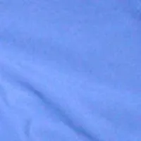 A Solid Color (Baby Blue) Womens Board/Swim Shorts - 4"