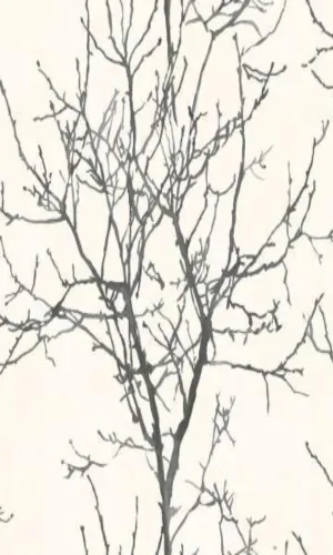 Modern Motifs Tree Shadow Wallpaper NA3404