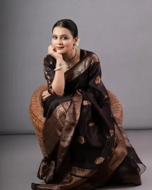 Ravishing Brown Soft Silk Saree With Designer Blouse Piece