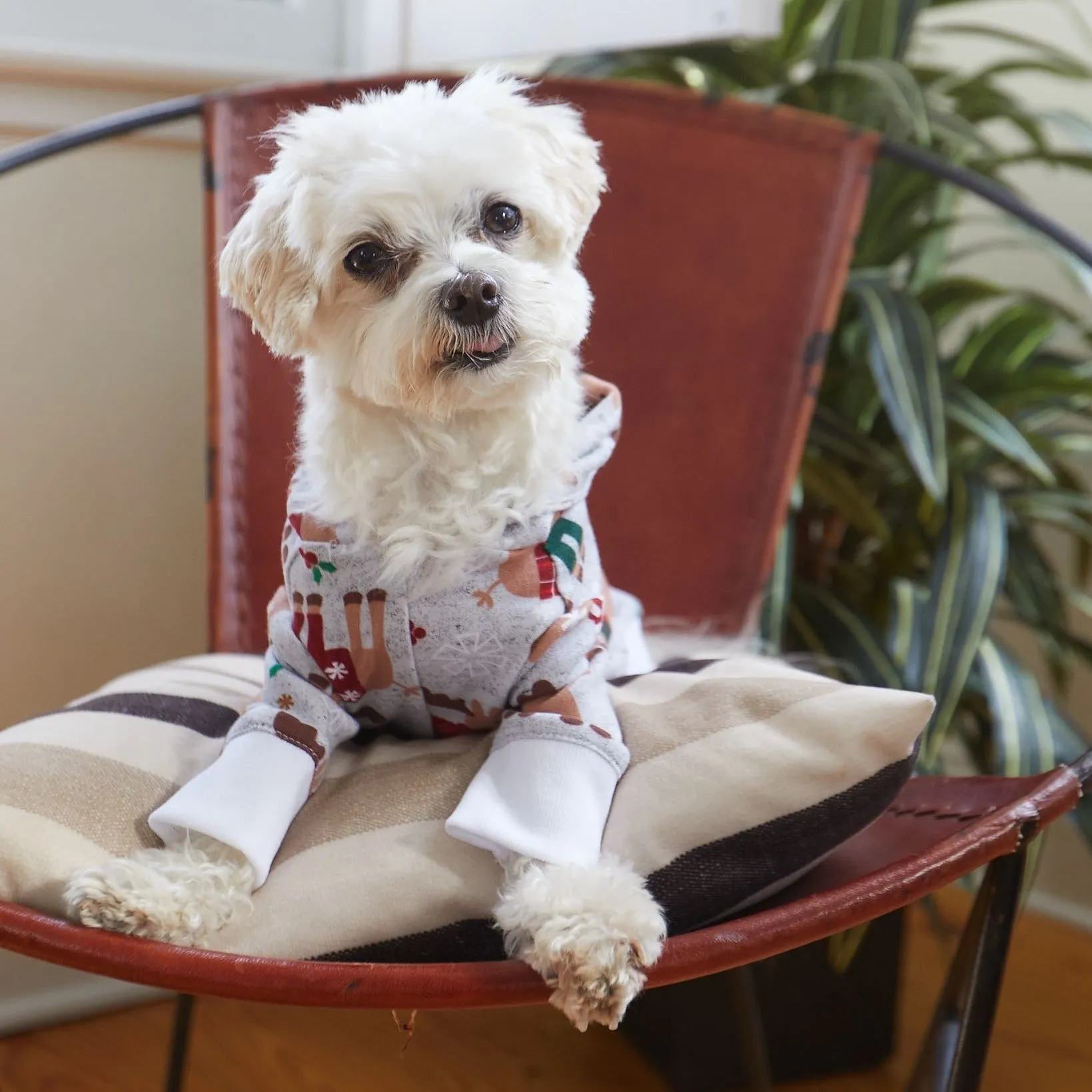 Santa Paws Nice List |  Allover Reindeer Print Doggie Pajamas